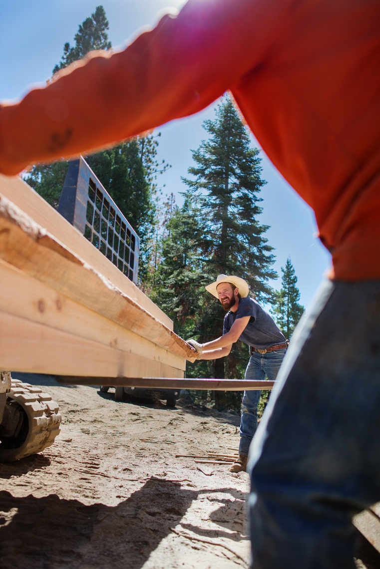Portrait of a working man 