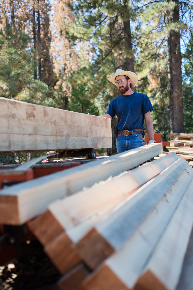 Sustainable lumber practices