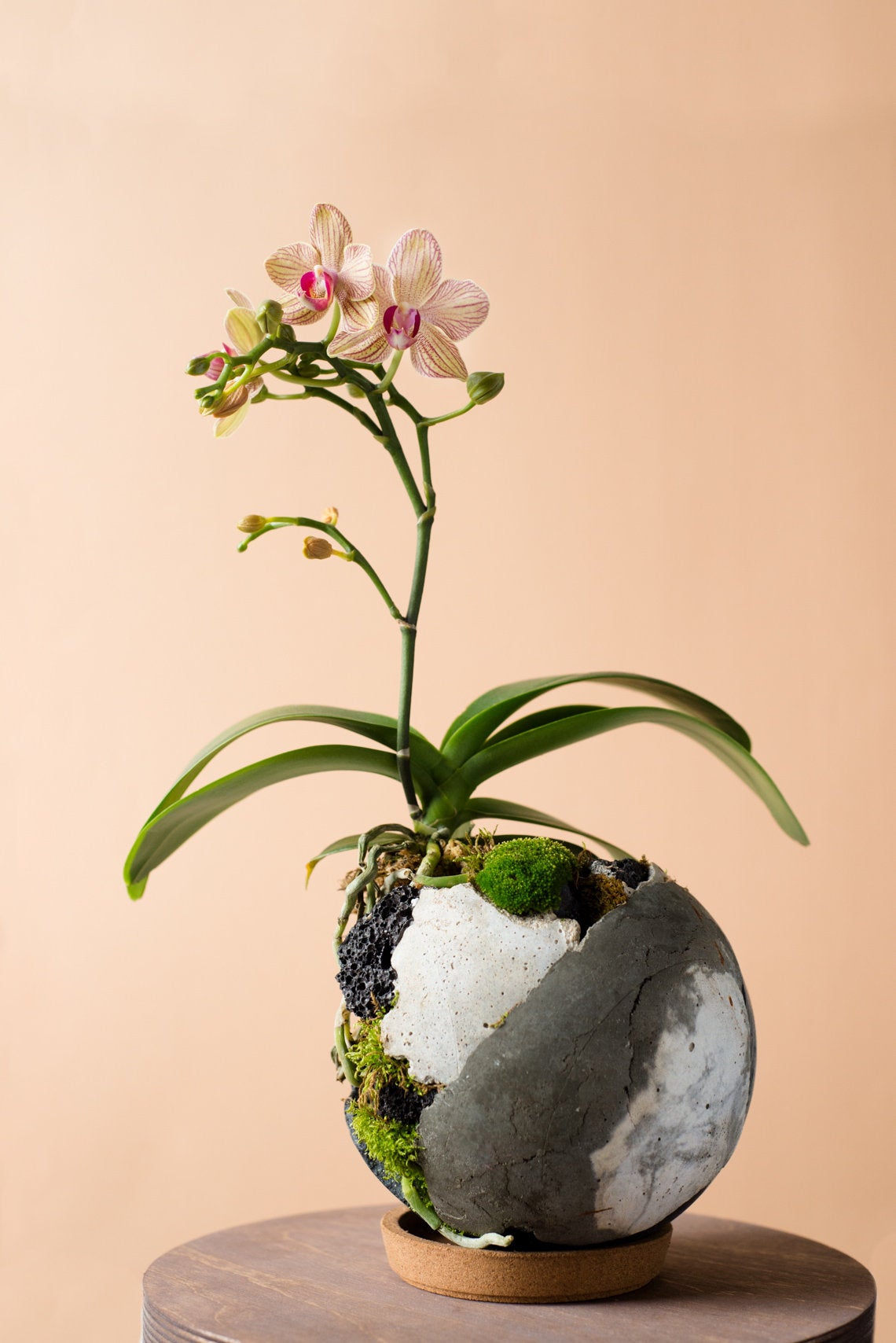 Concrete Sphere Living Sculpture 