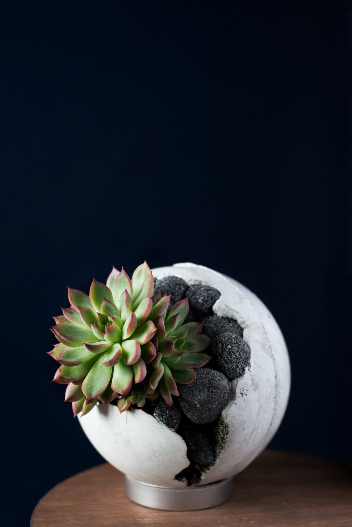 Concrete Orb with Celestite Crystal and Succulent 