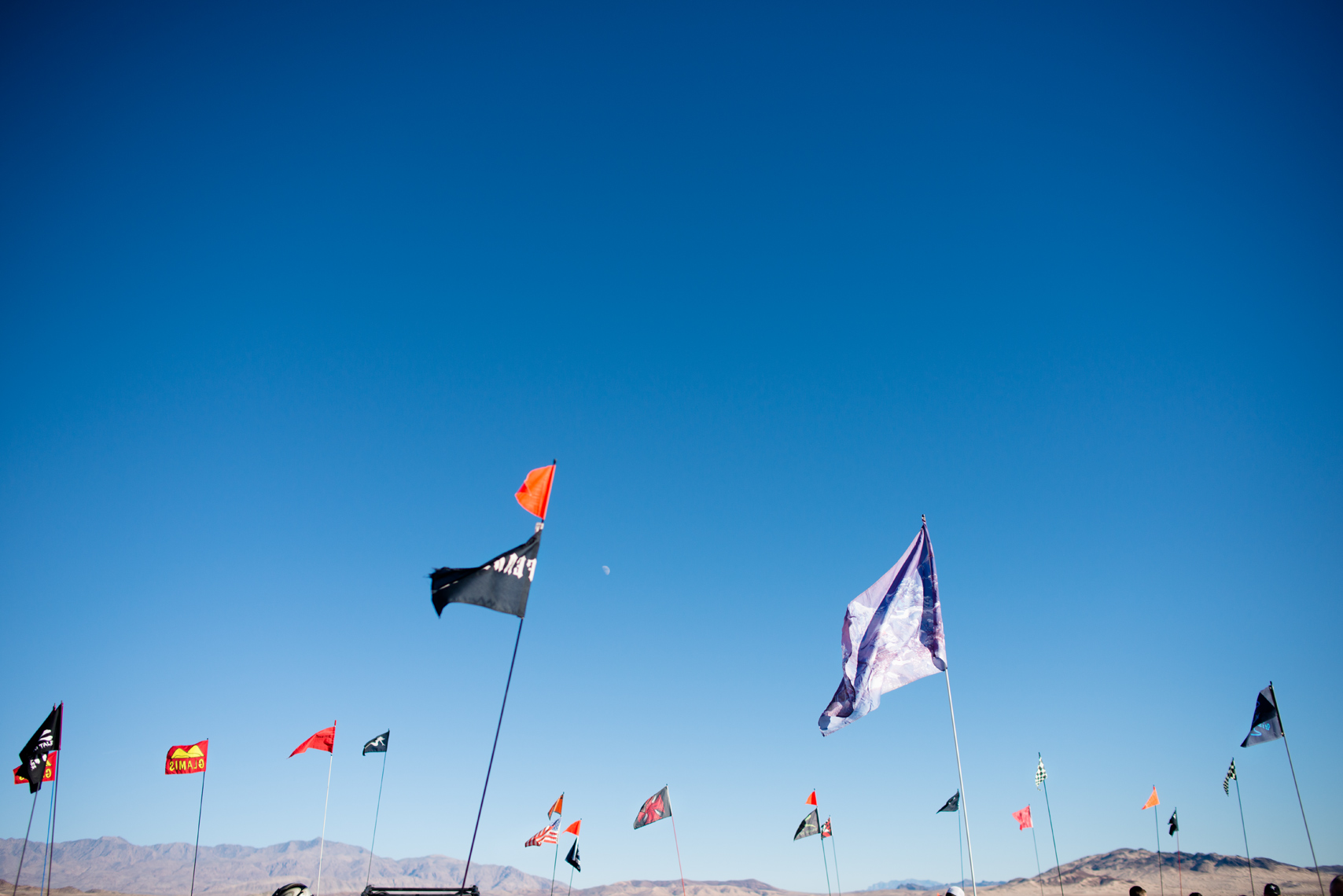 Flags at Dumont Dunes 