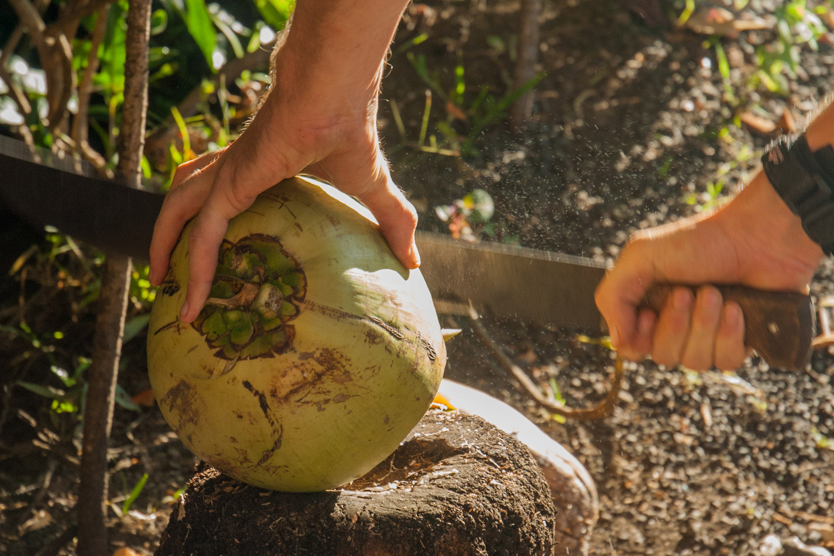 Coconut water and machete 