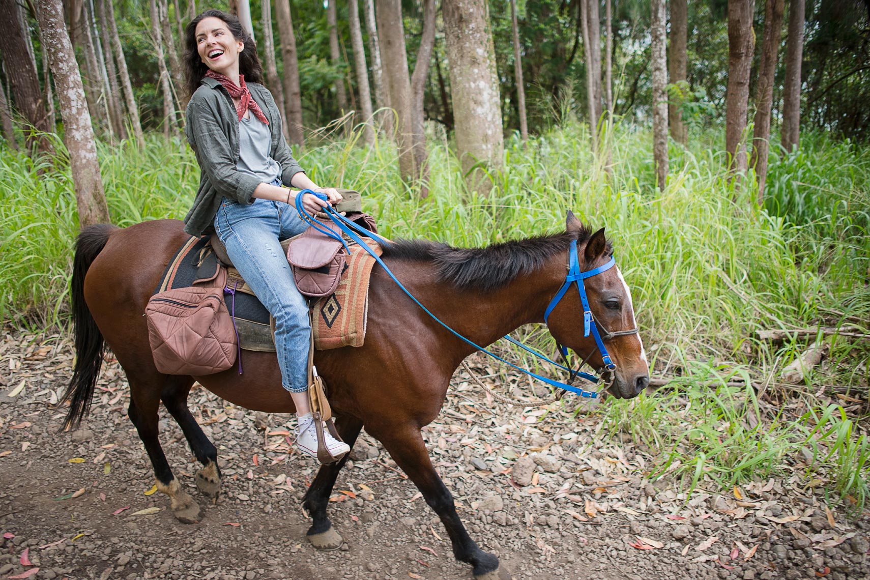 Hawaii on Horseback