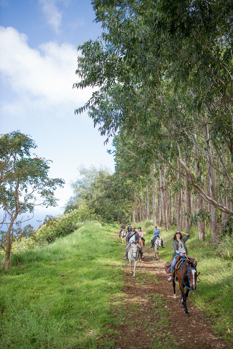 Touring Hawaii on horseback