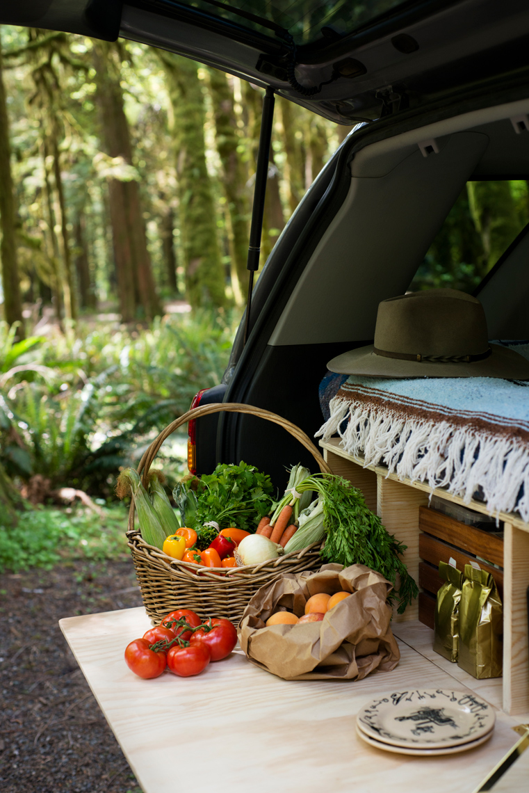 Vanlife Picnic