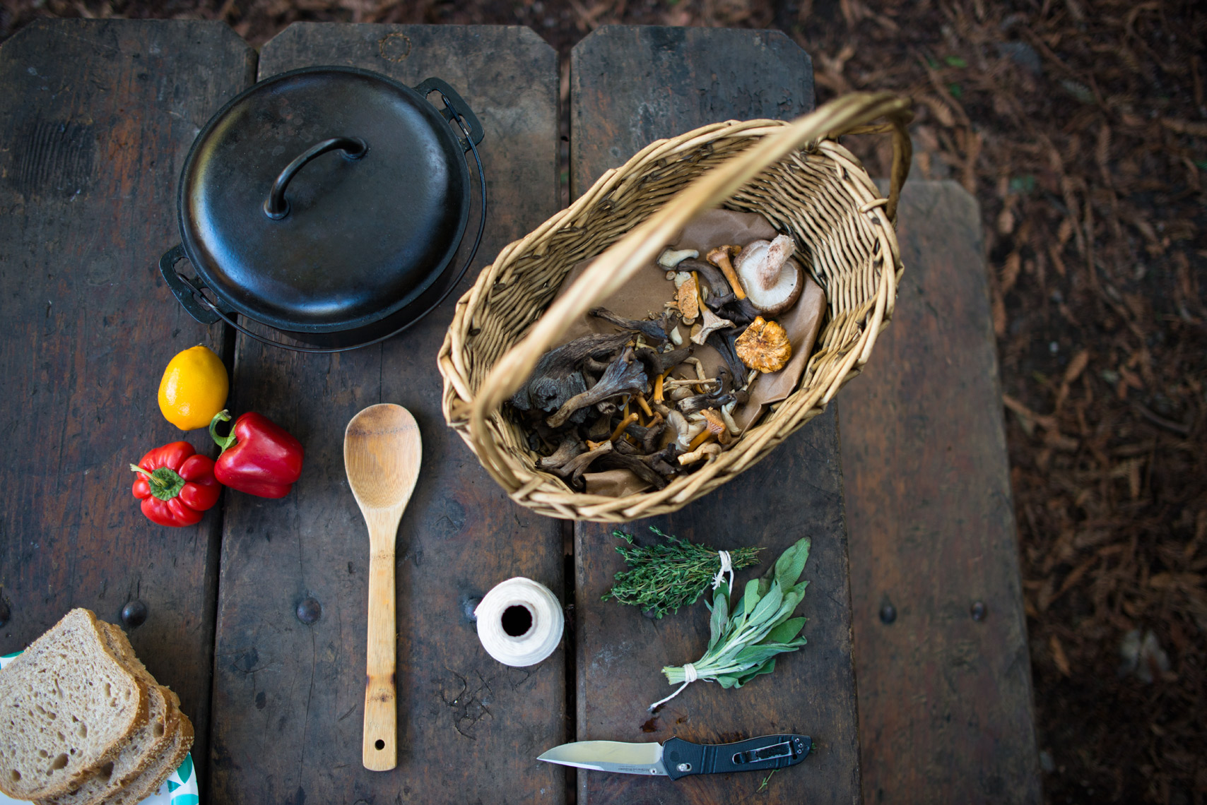 Foraged forest feast
