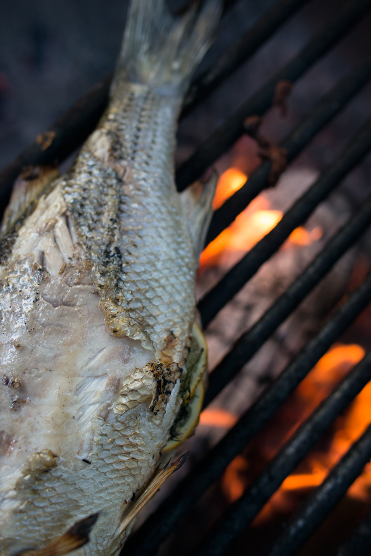 Open fire grilled sea bass with skin