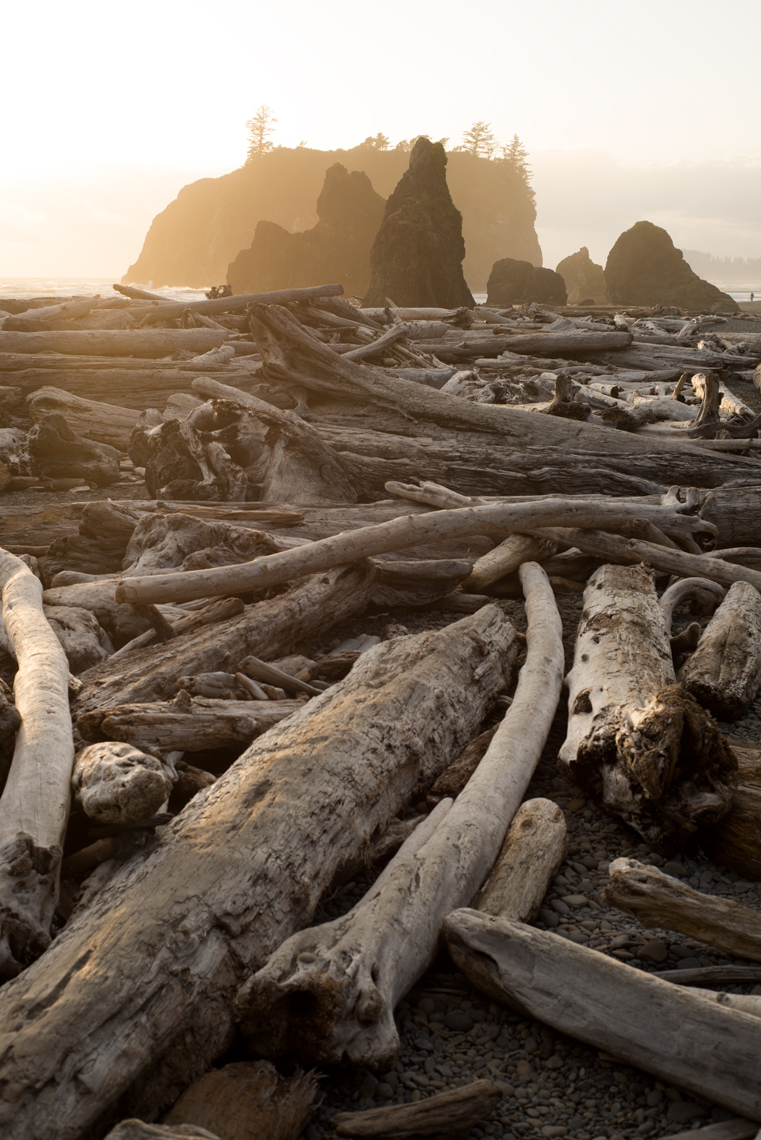 Ruby Beach Washington
